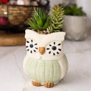 Ceramic Owl Planter with Faux Succulents - Cute Animal Home Decor New w/out Box